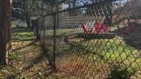 Chain Link Fencing